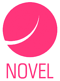 Novel